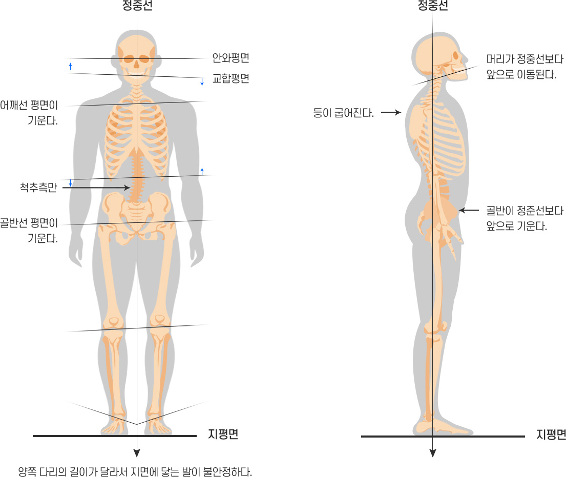 전신 이미지